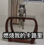 202501261018420147.Png